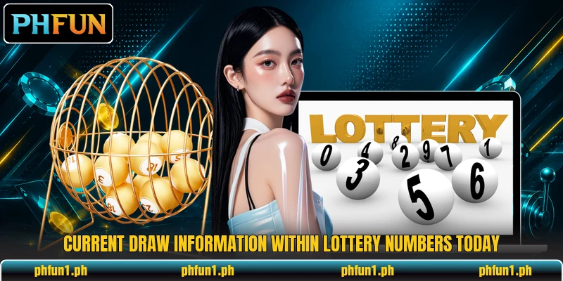 Current draw information within Lottery Numbers Today