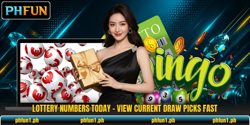 Lottery Numbers Today - View Current Draw Picks Fast